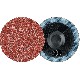 SCHLEIFBLAETTER CDR 25 A  60 4007220778098