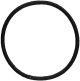 O-Ring 4042146797464