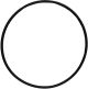 O-Ring 4042146797303