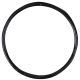 O-Ring  4042146690758