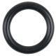 O-Ring  4042146690840