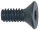 Senkkopfschraube 4042146810484
