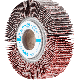 FAECHERRAEDER FR 10030/25,4 A 40 4007220469040