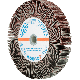 FAECHERRAEDER FR WS 12520 M14 A  80 4007220752432