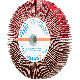 FAECHERRAEDER FR WS 12520 M14 CO-COOL 40 4007220025628