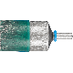 BÜRSTE PBV 3029/6 ST 0,35 4007220531112