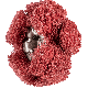 POLINOX-SCHLEIFSTERNE PNST 19-2 A 280 4007220899205
