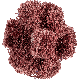 POLINOX-SCHLEIFSTERNE PNST 38-3 A 80 4007220899229