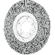 BÜRSTE RBU 25015/50,8 SIC 320 0,55 4007220807293