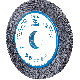 BÜRSTE RBUP 25025/50,8 CO 80 1,10 4007220956724