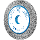 BÜRSTE RBUP 25025/50,8 SIC 80 1,10 4007220956632