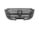 SIEGEL Automotive SA2D0796 Frontgrill passend für DAF
