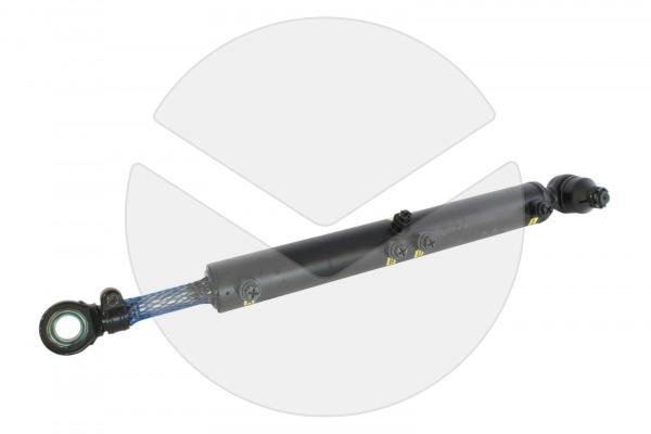 Arbeitszylinder hydraulisch (Austausch) Renault 5010383487