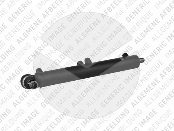 Arbeitszylinder hydraulisch (Austausch) Renault 5010630459