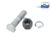 DT Spare Parts 10.10090 Radbolzen, komplett passend für BPW