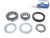 DT Spare Parts 10.30492 Reparatursatz, Radnabe passend für SAF