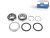 DT Spare Parts 10.30493 Reparatursatz, Radnabe passend für SAF