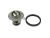 DT Spare Parts 13.42078 Thermostat, 92 °C passend für Ford