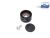 DT Spare Parts 1.00389 Spannrolle, mit Abdeckung, mit Schraube passend für Scania