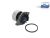 DT Spare Parts 1.00781 Wasserpumpe passend für Multimarken