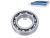 DT Spare Parts 1.13065 Kugellager, d: 60 mm, D: 110 mm, H: 22 mm passend für Multimarken