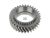DT Spare Parts 1.14733 Zahnrad passend für Scania