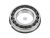 DT Spare Parts 1.16674 Rollenlager, d: 55 mm, D: 100 mm, H: 21 mm passend für Scania