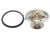 DT Spare Parts 1.31133 Thermostatsatz, 79 °C passend für Multimarken
