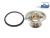 DT Spare Parts 1.31137 Thermostatsatz, 65 °C passend für Scania