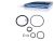 DT Spare Parts 1.31460 Dichtringsatz, Kontrollzylinder passend für Scania