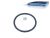 DT Spare Parts 2.15920 O-Ring, d: 69,2 mm, S: 5,7 mm passend für Multimarken