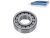 DT Spare Parts 2.65164 Zylinderrollenlager, d: 40 mm, D: 90 mm, H: 25 mm passend für Multimarken