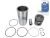DT Spare Parts 2.90100 Kolben mit Laufbuchse, D: 131 mm passend für Multimarken