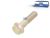 DT Spare Parts 3.89613 Schraube, M14 x 1,5, SW: 19, L: 55 mm, 10.9 passend für MAN