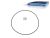 DT Spare Parts 4.20028 O-Ring, d: 200 mm, S: 3 mm passend für Mercedes-Benz