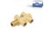 DT Spare Parts 4.61327 Rückschlagventil, M12 x 1,5, M14 x 1,5, M16 x 1,5 passend für Mercedes-Benz