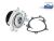 DT Spare Parts 4.66815 Wasserpumpe, DI: 72 mm, DP: 88 mm passend für Multimarken