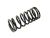 DT Spare Parts 4.70056 Ventilfeder, innen, D: 29 mm, L: 66,5 mm passend für Multimarken