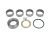 DT Spare Parts 4.91104 Reparatursatz, Achsschenkelbolzen passend für Mercedes-Benz