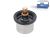 DT Spare Parts 5.41096 Thermostat, 91 °C passend für DAF
