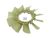 DT Spare Parts 5.41484 Lüfter, D: 720 mm, 6 bores, b: 9 mm, P: 256 mm, d: 236 mm passend für DAF