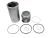 DT Spare Parts 5.94254 Kolben mit Laufbuchse passend für DAF