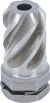 Reibahle | für Art. 65520 | Ø 15 mm, Länge 23 mm BGS65521