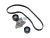 DT Spare Parts 6.31603 Riemenspanner, komplett mit Keilriemen, 6 PK, L: 1148 mm passend für Multimarken