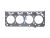DT Spare Parts 7.51119 Zylinderkopfdichtung passend für Iveco