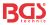 BGS®-Aufkleber | 250 x 150 mm BGSAUFKLEBER2