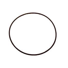 Dichtring wasserpumpe für Daf XF 106