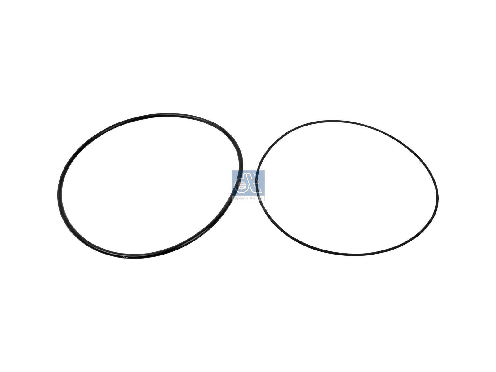 DT Spare Parts 1.33141 Dichtringsatz, Laufbuchse passend für Scania