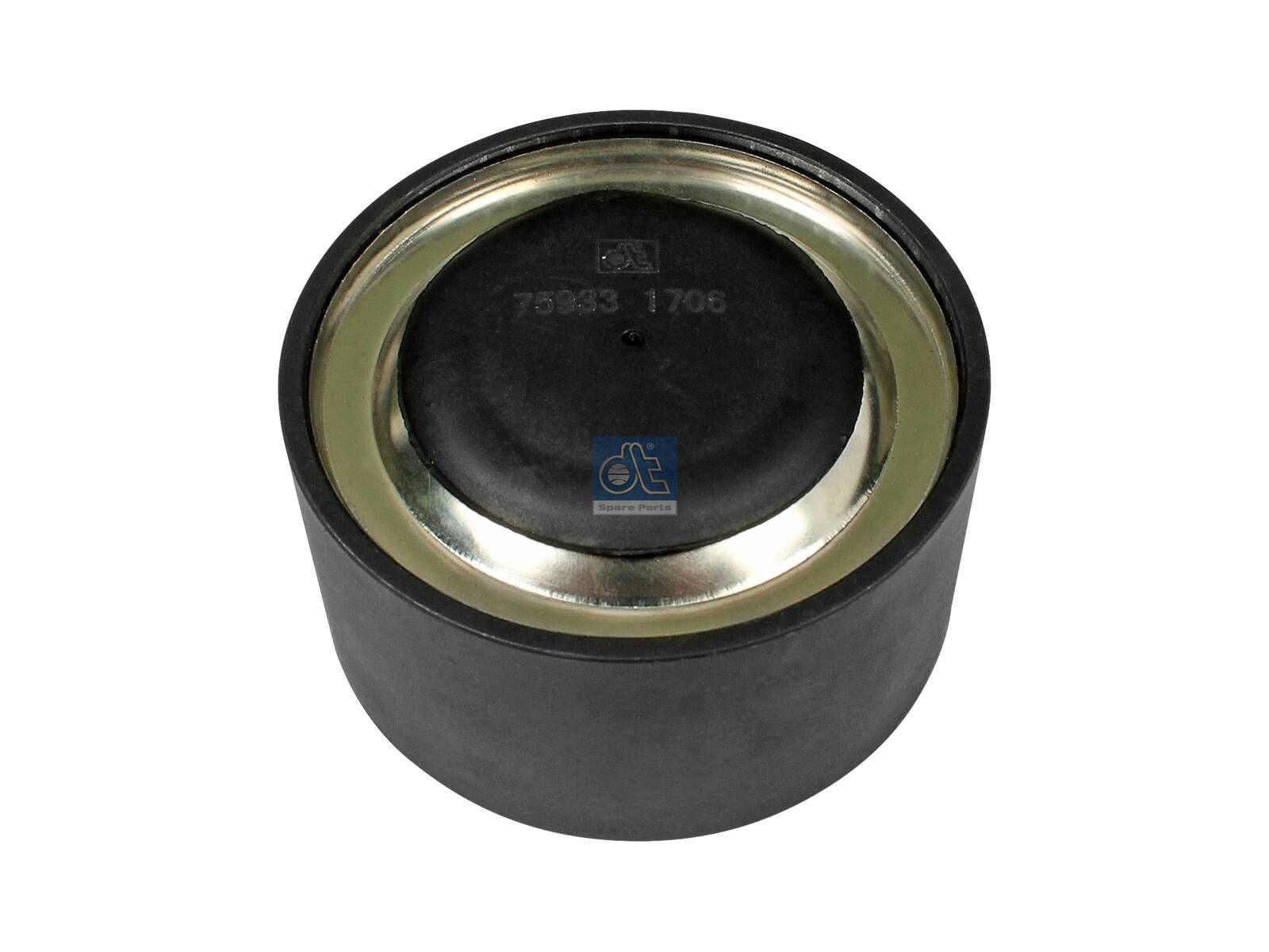 DT Spare Parts 2.15574 Spannrolle, D: 74 mm, W: 38 mm passend für Multimarken