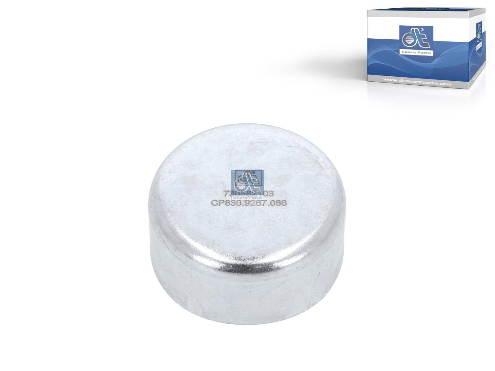 DT Spare Parts 2.40066 Verschlusskappe, Bremssattel passend für Multimarken